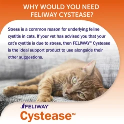 Feliway Cystease Advanced Urinary Tract Supplement -ROYAL CANIN Sales I0040254 en 07