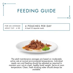 Gourmet Chefs Collection Adult Wet Cat Food - Mixed In Gravy 13 Gourmet Chefs Collection Adult Wet Cat Food - Mixed In Gravy -ROYAL CANIN Sales I0040950 en 11