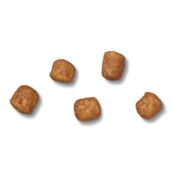 James Wellbeloved Complete Adult Dry Cat Food - Turkey -ROYAL CANIN Sales I0042145 en 04