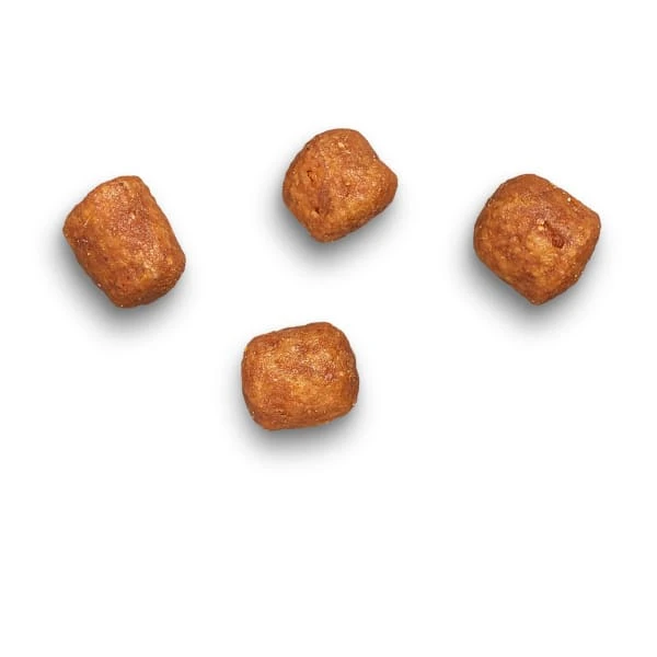 James Wellbeloved Complete Senior Dry Cat Food - Turkey 6 James Wellbeloved Complete Senior Dry Cat Food - Turkey - Image 6