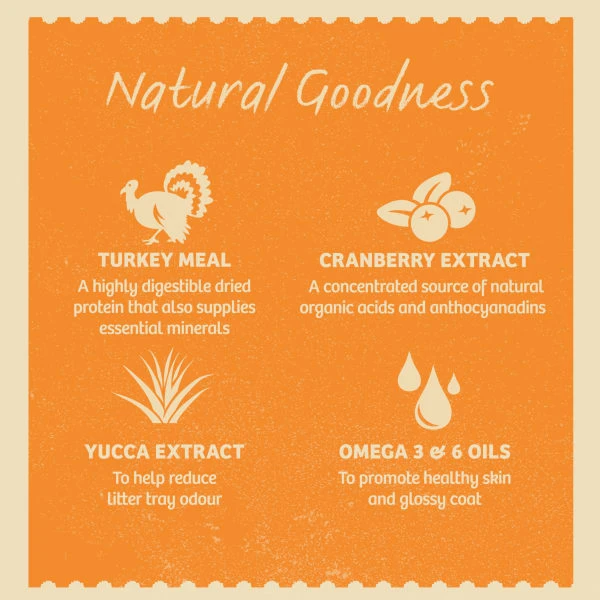 James Wellbeloved Complete Senior Dry Cat Food - Turkey 4 James Wellbeloved Complete Senior Dry Cat Food - Turkey - Image 4