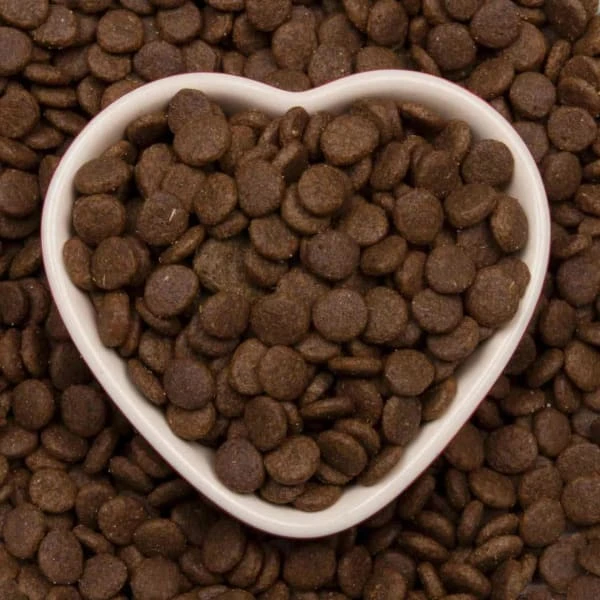 Meowing Heads So-Fish-Ticated Salmon Adult Dry Cat Food 1 Meowing Heads So-Fish-Ticated Salmon Adult Dry Cat Food