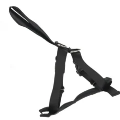 RAC Car Harness -ROYAL CANIN Sales I0044206 en