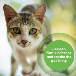 Protexin Pro-Kolin Probiotic Paste For Dog & Cat -ROYAL CANIN Sales I0044872 en 03