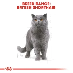 Royal Canin British Shorthair Adult Dry Cat Food -ROYAL CANIN Sales I0045287 en 04