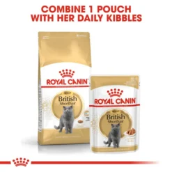 Royal Canin British Shorthair Adult Dry Cat Food -ROYAL CANIN Sales I0045287 en 05
