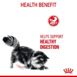 Royal Canin Digestive Care Adult Dry Cat Food -ROYAL CANIN Sales I0045364 en 05