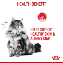 Royal Canin Hair & Skin Care 33 Adult Dry Cat Food -ROYAL CANIN Sales I0045368 en 05