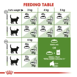Royal Canin Outdoor +7 Adult Dry Cat Food -ROYAL CANIN Sales I0045373 en 07
