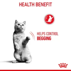 Royal Canin Appetite Control Sterilised Adult Dry Cat Food 19 Royal Canin Appetite Control Sterilised Adult Dry Cat Food -ROYAL CANIN Sales I0045387 en 05