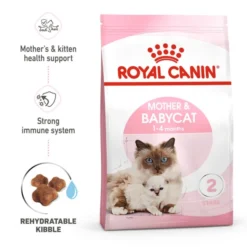 New Arrival 10 Royal Canin Mother & Babycat Adult/Kitten Dry Cat Food