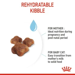 Royal Canin Mother & Babycat Adult/Kitten Dry Cat Food -ROYAL CANIN Sales I0045470 en 04