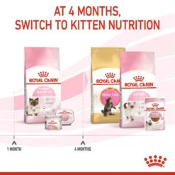Royal Canin Mother & Babycat Adult/Kitten Dry Cat Food -ROYAL CANIN Sales I0045470 en 05