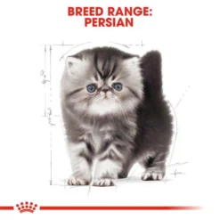 Royal Canin Persian Kitten Dry Cat Food -ROYAL CANIN Sales I0045480 en 06