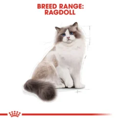 Royal Canin Ragdoll Adult Dry Cat Food -ROYAL CANIN Sales I0045491 en 03
