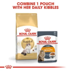 Royal Canin Ragdoll Adult Dry Cat Food -ROYAL CANIN Sales I0045491 en 06