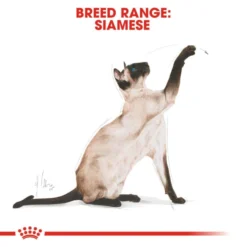 Royal Canin Siamese Adult Dry Cat Food