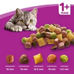 WHISKAS Adult 1+ Complete Dry Cat Food -ROYAL CANIN Sales I0047617 en 06
