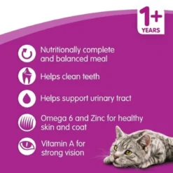 WHISKAS Adult 1+ Complete Dry Cat Food
