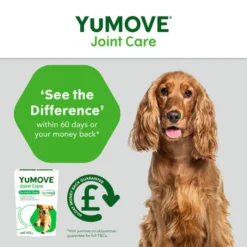 YuMOVE Dog Joint Supplement With ActivEase 23 YuMOVE Dog Joint Supplement With ActivEase -ROYAL CANIN Sales I0047774 en 11
