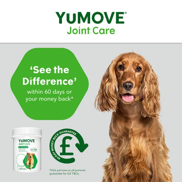 YuMOVE Dog Joint Supplement With ActivEase 2 YuMOVE Dog Joint Supplement With ActivEase - Image 2