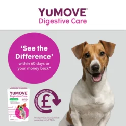 YuMOVE Digestive Care Dog Supplement Tablets -ROYAL CANIN Sales I0047777 en 07