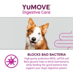 YuMOVE Digestive Care Dog Supplement Tablets -ROYAL CANIN Sales I0047777 en 11