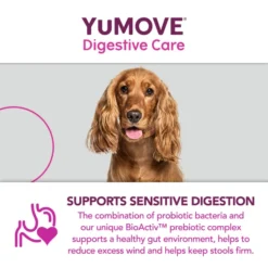 YuMOVE Digestive Care Dog Supplement Tablets -ROYAL CANIN Sales I0047777 en 12