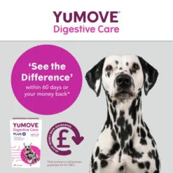 YuMOVE Digestive Care Plus Dog Supplement -ROYAL CANIN Sales I0047778 en 07
