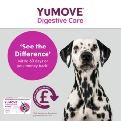 YuMOVE Digestive Care Plus Dog Supplement -ROYAL CANIN Sales I0047778 en 08