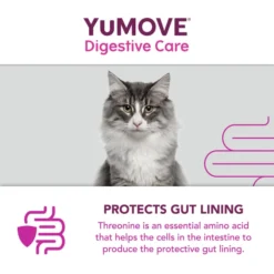 YuMOVE Digestive Care Plus Dog Supplement -ROYAL CANIN Sales I0047778 en 11