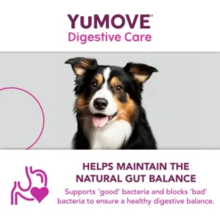 YuMOVE Digestive Care Plus Dog Supplement -ROYAL CANIN Sales I0047778 en 12