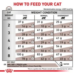 Royal Canin Veterinary Diet Gastrointestinal Adult Dry Cat Food -ROYAL CANIN Sales I0050032 en 04