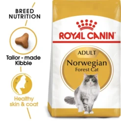 Royal Canin Bread Norwegian Forest Adult Dry Cat Food -ROYAL CANIN Sales I9005456