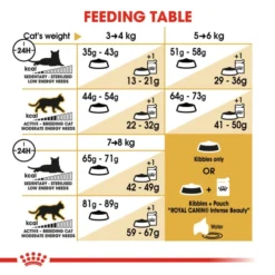 Royal Canin Bread Norwegian Forest Adult Dry Cat Food