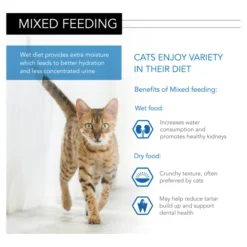 ROYAL CANIN Sales -ROYAL CANIN Sales I9029278 en 07