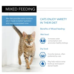 Purina Pro Plan NutriSavour Sterilised Adult Wet Cat Food - Chicken In Gravy -ROYAL CANIN Sales I9029280 en 06