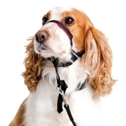 Halti Optifit -ROYAL CANIN Sales I9037278 en