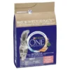 Purina ONE Adult Dry Cat Food - Salmon & Whole Grains