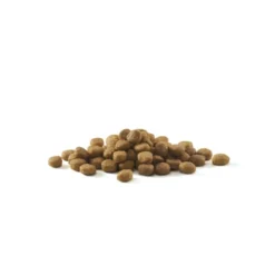 Purina ONE Indoor Turkey -ROYAL CANIN Sales I9062290 en 04