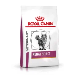 Royal Canin Renal Select Adult Dry Cat Food -ROYAL CANIN Sales I9086279
