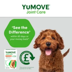 YuMOVE Young & Active Dog Joint Supplement With ActivEase -ROYAL CANIN Sales I9106038 en 08