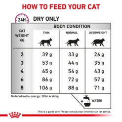 Royal Canin Veterinary Mobility Adult Cat Dry Food -ROYAL CANIN Sales I9108906 en 08