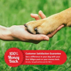 Gro-Well Feeds Joint Aid For Dog