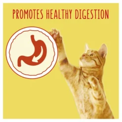 Go-Cat Adult Dry Cat Food - Chicken & Duck -ROYAL CANIN Sales I9161277 en 06