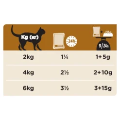 Purina Pro Plan Veterinary Diets Renal Function Wet Cat Food - Salmon -ROYAL CANIN Sales I9215310 en 10