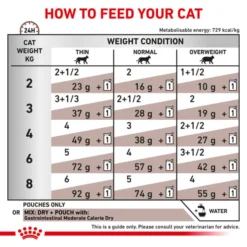 Royal Canin Veterinary Diet Gastrointestinal Moderate Calorie Adult Wet Cat Food -ROYAL CANIN Sales I9426456 en 06