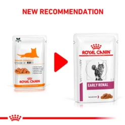 Royal Canin Veterinary Diet Early Renal Adult Wet Cat Food -ROYAL CANIN Sales I9442277 en 03