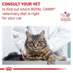 Royal Canin Veterinary Diet Early Renal Adult Dry Cat Food -ROYAL CANIN Sales I9442278 en 02