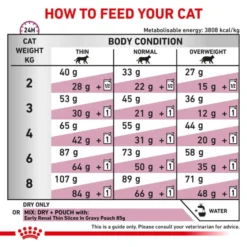 Royal Canin Veterinary Diet Early Renal Adult Dry Cat Food -ROYAL CANIN Sales I9442278 en 06